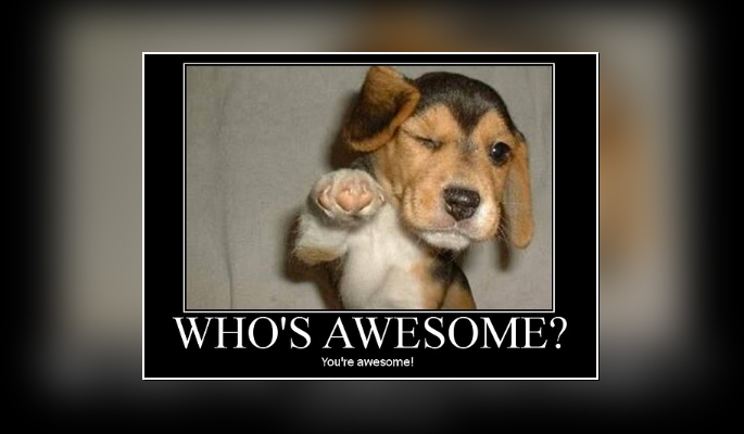 An Awesome and Follow Friday Worthy Twitter Account (#FF)